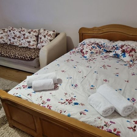 Garsoniera Emilia Daire Câmpulung Moldovenesc Dış mekan fotoğraf