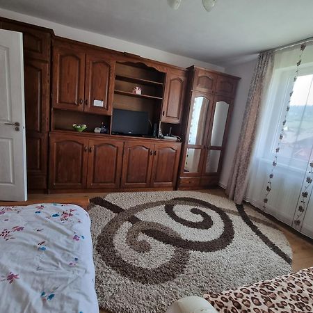 Garsoniera Emilia Daire Câmpulung Moldovenesc Dış mekan fotoğraf