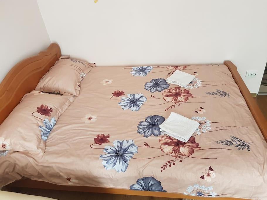 Garsoniera Emilia Daire Câmpulung Moldovenesc Dış mekan fotoğraf