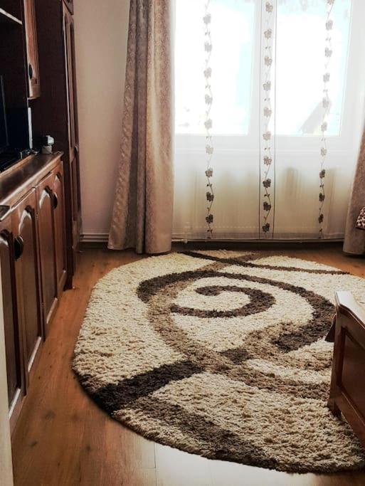 Garsoniera Emilia Daire Câmpulung Moldovenesc Dış mekan fotoğraf