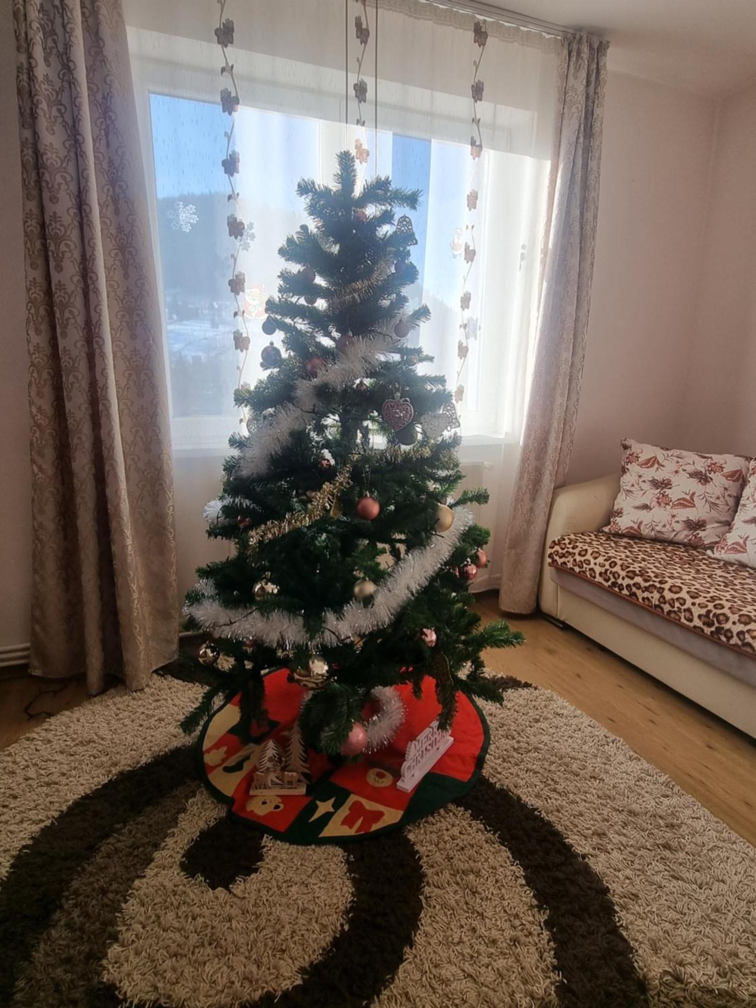 Garsoniera Emilia Daire Câmpulung Moldovenesc Dış mekan fotoğraf